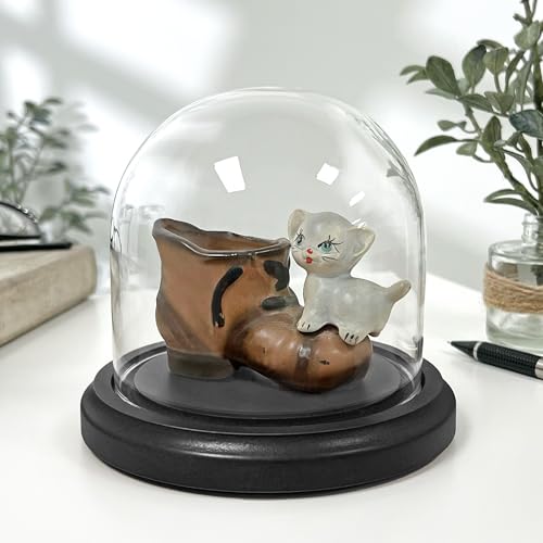 Plymor 4" x 4" Glass Display Dome Cloche (Black MDF Wood Base) - color: Black Wood Base