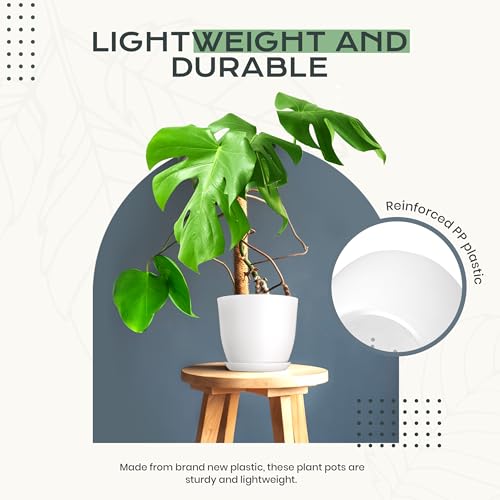 Plant Pots Indoor with Drainage, 10 Pack Multi-Size Planters Set, White - color: White, size: Pack of 10