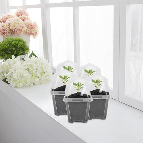 50 Pcs 3" Clear Plant Nursery Pot with Humidity Dome, Plastic Gardening Pot | Plastic Plant Container with Labels, Reusable Gardening Containers Cups for Seedlings Vegetables Succulents Cuttings - color: 50pcs-white, size: 3 Inch