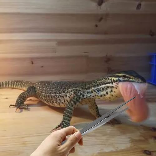 Reptile Sand Substrate Scoop Fine Mesh Reptile Feeding Tong (Black-2mm) - color: Black-2mm