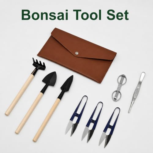 7 PCS Succulent Gardening Tool Set with Repotting Mat, Plant Care Kit