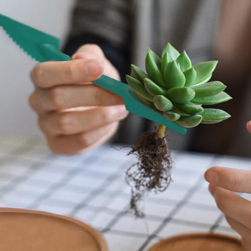 Succulent Transplanting Tool Set Bonsai Seedling Dibber Widger Kit (Green) | 12 Pcs gardening kit including 2 plastic succulent transplanter tools (17cm) and 10 white plant sign markers. - color: Green