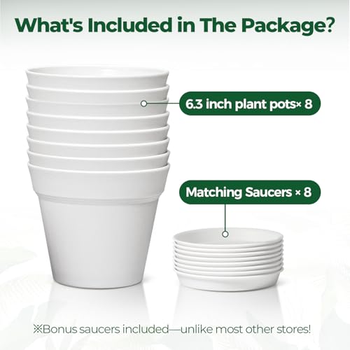 T4U Plant Pots Indoor 6 Inch 8 Pack, Plastic Flower Pots with Saucer White | Peace lily spider ivy, Kitchen windowsill shelf, Houseplant herbs basil, Durable lightweight - color: White, size: 6 inch