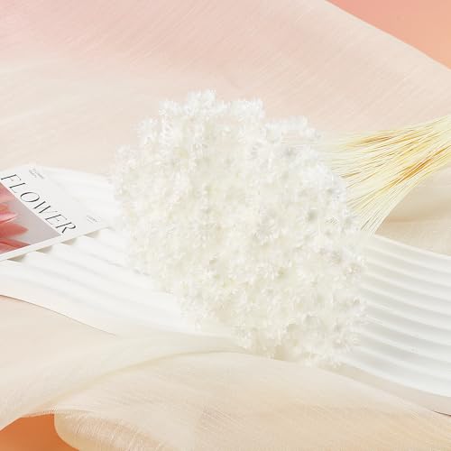 300 PCS Dried Flowers Brazilian White Small Starflower Flowers Mini Dried Flower Bouquet Daisies Mini Chamomile Flower Bouquet for Flower Arrangement Wedding (Snow-White) - color: Snow-white