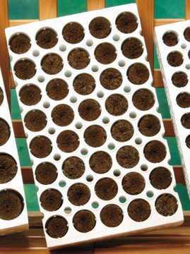 Park Seed 40-Cell Jumbo Planting Block - size: 40 Cell