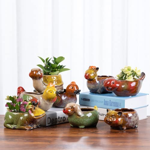 WAIT FLY Cute Animal Ceramic Flower Pot Succulent Planter-Chicken - color: Chicken