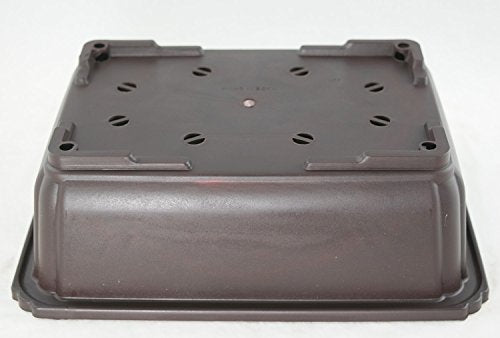 6 Mix Dark Brown Rectangular Plastic Bonsai Training Pot, Cactus & Succulent Planter - 5" to 10.5"