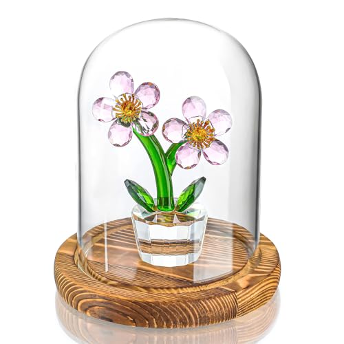 ZEERSHEE Cloche Glass Dome with Wooden Base, 5.5" x 3.9" Display Case | Clear Glass Cover, Stable Wood Base, Perfect for Flowers, Crafts, Candles & Collectibles
