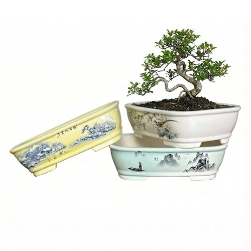 8" Bonsai Pots with Tray, Rectangular Planter in Blue & White - color: Yellow Snow Scene