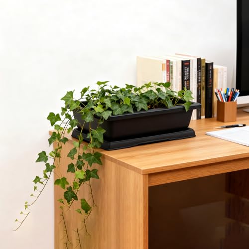 3 Pack 14 Inch Large Bonsai Pots, Rectangular Built in Mesh Plastic Bonsai Training Pots with Trays, Plant Flower Tree Growing Bonsai Planter for Garden Supplies, Yard, Office, Room, Balcony - size: 14 Inch 3 PACK