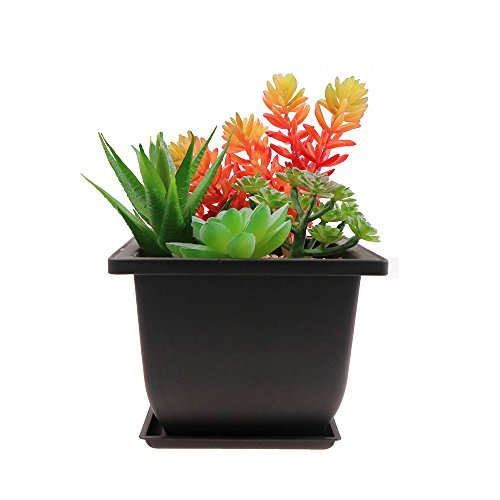 MUZHI 6PCS/Pack Retro Style Deep Square Small Bonsai Training Pots with Tray, Mini Plastic Mocha Garden Flower Pot 5" - size: 6pcs small deep square 5"