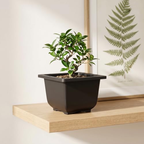 KINJOEK 15 PCS 6.7 Inch Bonsai Training Pots, Square Plastic Plant Pot, Flower Succulent Pots for Garden, Indoor, Home Decorative - size: 6.7 x 6.7 x 4.5 Inch
