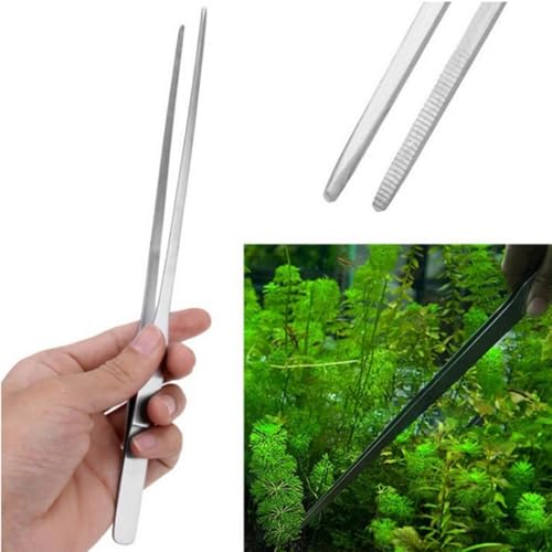 2PCS 10 Inch Long Handle Stainless Steel Straight and Curved Tweezers Pliers Aquatic Plant Tweezer Aquarium Tool for Gardening Feeding Stick Jewellery Making Crafts