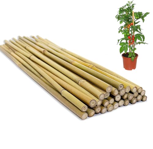 Natural Bamboo Plant Stakes (BS-16in-30PCS) - size: BS-16in-30PCS