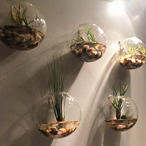 GASPRO 8 Pound River Rocks and 10LB Flat Glass Marbles for Vase, Plants, Succulents, Landscaping, Garden and More