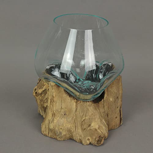 Molten Glass Vase on Teak Driftwood, 7.5 Inch | Clear Hand-Formed Bowl, Natural Wood Base, For Succulents, Air Plants, Herbs or Desktop Terrariums