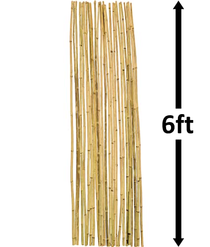 Natural Bamboo Poles, Eco-Friendly Plant Support Garden Stakes 6ft Long, Diameter of 5/8" (25-Count) - size: 6 ft, 5/8" Diameter (25-Count)