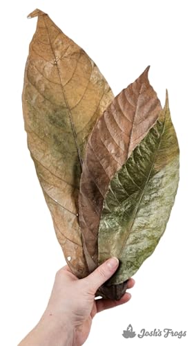 Josh's Frogs Dried Cocoa Tree Leaf Litter (10 Count)