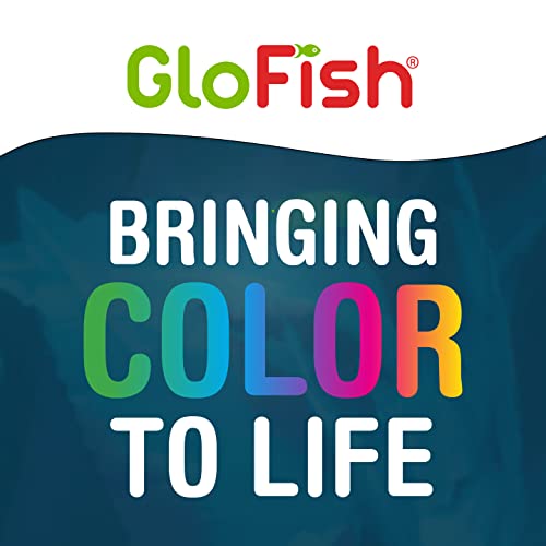 GloFish Aquarium Gravel 5 Pounds, Pearlescent, Complements Tanks and Décor (AQ-78484) (Pack of 6) - size: 5 Pound (Pack of 6)