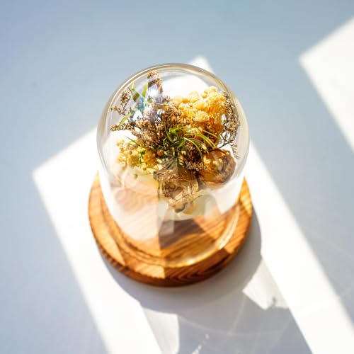 Cloche Glass Dome with Wooden Base, Glass Display Dome Bell Jar 5.1" | Fits collectibles under 5.1" tall, crystal-clear glass, sturdy wood base, dust protection, ideal for gifts and décor