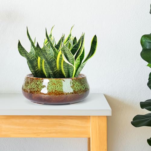 ARTKETTY Succulent Pots, 8 Inch Large Plant Pots with Drainage - color: Green