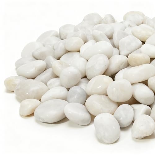 Mr. Fireglass 10 lbs White River Rocks, 3/8 inch Natural Polished Pebbles - color: White, size: 3/8 inch, 10 lb