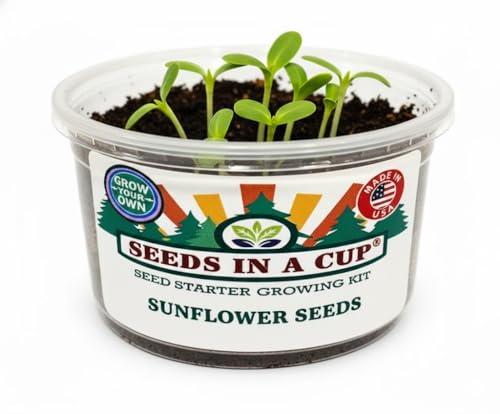 Kids Discovery Garden Kit, Complete Indoor/Outdoor Growing Set, Premium Soil, 4 Seed Varieties,Educational, Made in USA, Great Gift for Holiday, Gift Idea