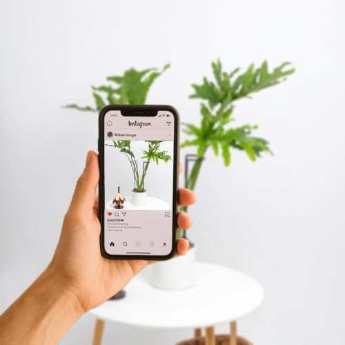 15.5" 10 Pack Large Iron Monstera Trellis - Heavy-Duty Plant Supports - color: Black, size: 15.5 Inch H