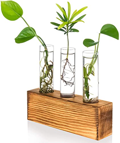 Kingbuy 3 Pack Glass Test Tube Propagation Vase Hydroponic Cuttings Planter
