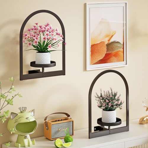 Flenpptly Wall Plant Holder, Wall Planter for Indoor Plants, 2 Pack Black - size: 2 Pack-Black