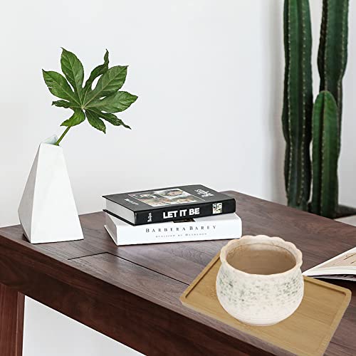 2-Pack Bamboo Rectangular Plant Saucer Drip Tray 6.9x3.5 Indoor - size: 6.9x3.5 inch
