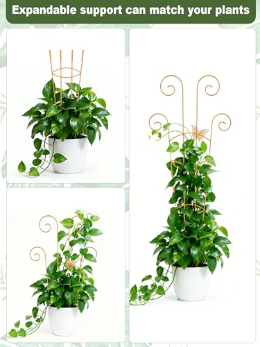 Butterfly Metal Monstera Trellis, Gold Garden Treleaf Expandable Trellis - color: Black-NEW