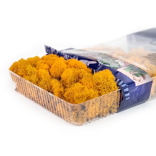 Super Moss (25125) Reindeer Moss Preserved, Mango, 2oz - color: Mango, size: 80.75 cubic inch (in3) Bag (Appx. 2oz)