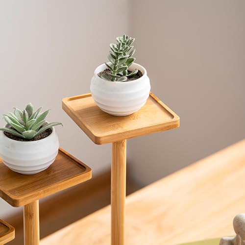 5 Tiers Desk Plant Stand Window Sill Plant Shelf Tabletop Succulent Stand Flower Pot Stand Holder Desktop Plant Stand Indoor Plant Rack for Succulent Herb in Living Room Office (Square) - size: Square