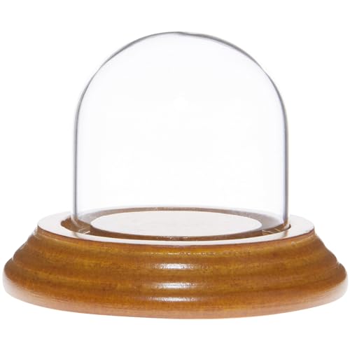 Plymor 2" x 2" Mini Glass Display Dome Cloche (Oak Veneer Base) - color: Oak Veneer Base