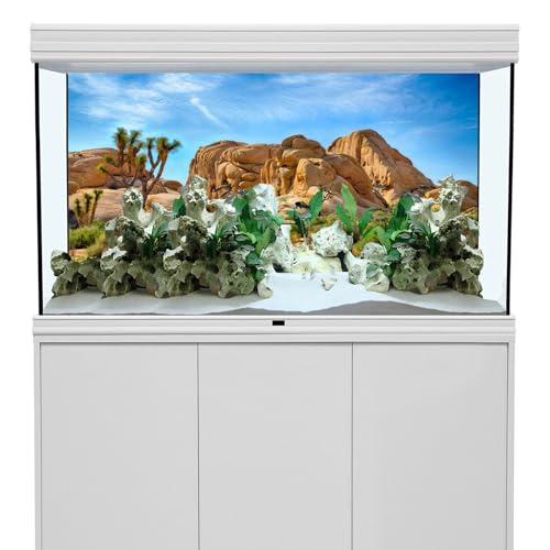 30X12 Inches Bearded Dragon Tank Background Joshua National Park Backdrop - size: 30 inches x 12 inches