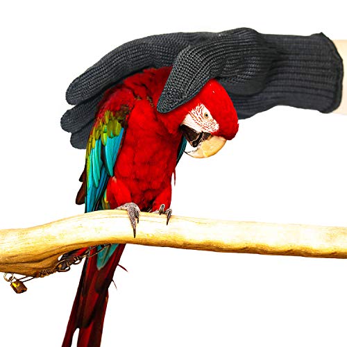 Bird Training Anti-Bite Gloves, Level 5 Protection, Parrot Chewing Working Safety Protective Gloves for Cockatiels - color: 2 Pairs