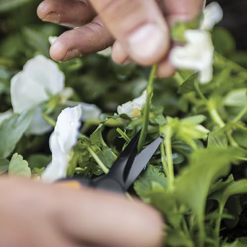 Fiskars 6" Non-Stick Pruning Snips, Resin-Resistant Garden Scissors, 2-Pack - style: Non-Stick Snips (2-Pack)