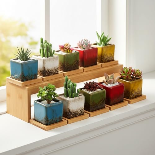 TOPZEA Set of 10 Succulent Planter Pots, 2 Inch Square Ceramic Glazed Cactus Plant Pot Tiny Flower Container with Drainage Hole & Bamboo Tray for Desk, Windowsill, Home Decor, Coffee Bar - size: 2"(D) * 1.9"(H)