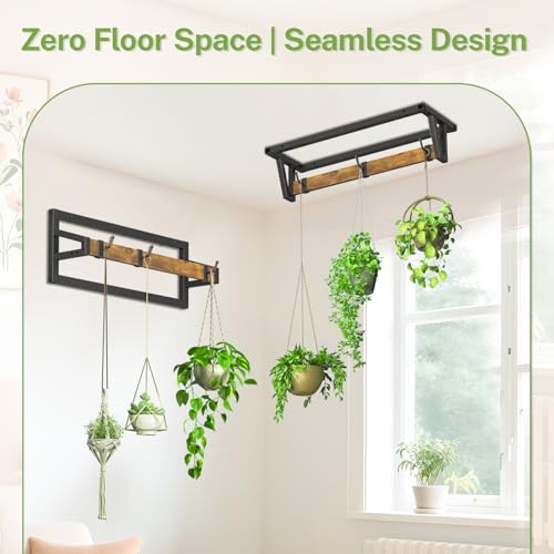 iDavosic.ly Plant Hanger Indoor Set of 2 with 6 Hooks for Wall & Ceiling - color: Black & Brown