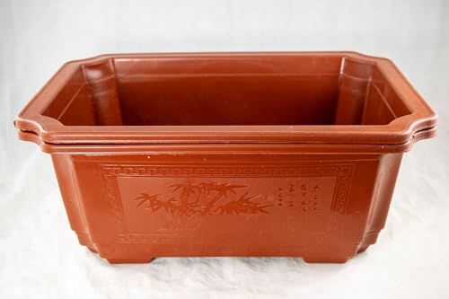 Yubonzai Rectangular Orange Plastic Bonsai Training Tall Pot, Cactus & Succulent Planter - 7.25" to 17.5" (2PCS 14.5"x 10.75"x 5.5") - size: 2PCS 14.5"x 10.75"x 5.5"