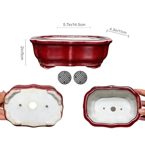 Glazed Ceramic Bonsai Pots, with Drainage, Red & Blue Desktop Decor - color: Bronze