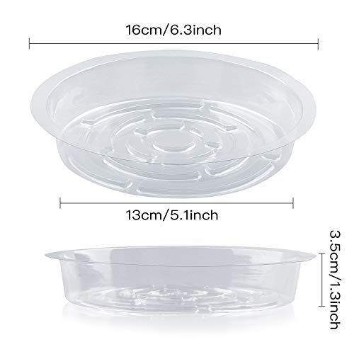 Rocutus Plant Saucer,20 Pack Plastic Plant Saucer Drip Trays Small Plant Plate Dish,Heavy Duty Clear Plastic Plant Saucers Flower Pot Tray Flower Pot Drip Pan for Indoor and Outdoor Plants (6 Inch) - size: 5.6 Inch