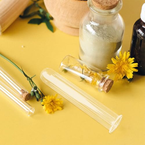 Homoyoyo 6 Pack Clear Glass Test Tube Vases 5.90 inch Hydroponic Plant Propagation Tubes for Water Cuttings Flower Arranging Desk Home and Office Decor