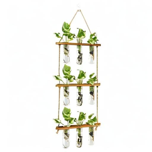 XXXFLOWER Plant Terrarium Propagation Station with Wooden Stand, Air Planter Glass Vase Home Indoor Office Decoration - 3 Bulb Vase + Test Tubes 3 Tiers