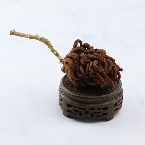 Wooden Display Stand Base 3.15" Circular Wood Carved Pedestal Oriental Style Home Decoration for Vase, Flower Pots, Teapot, Table Lamp, Fishbowl - style: Circular