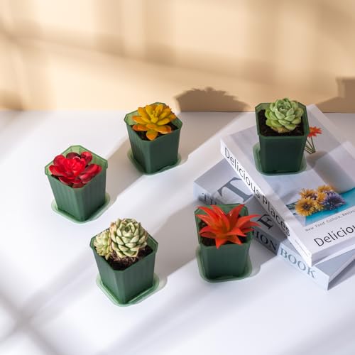 30Pcs 3 Inch Transparent Green Nursery Pots with Saucers, Square Plant Pot - color: Transparent Green