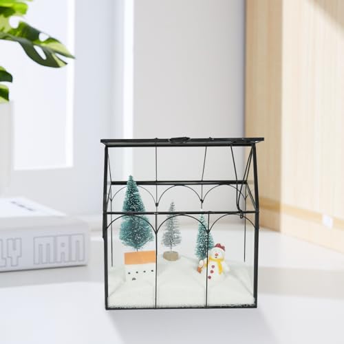 Ferrisland Glass Geometric Plant Terrarium, Clear Glass Succulent - size: 6" L x 4.3" W x 6.3" H