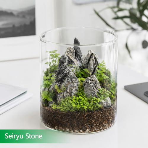 Natural Slate Stone 2-3 in 2LB Terrarium Rock for Miniature - size: 2lb