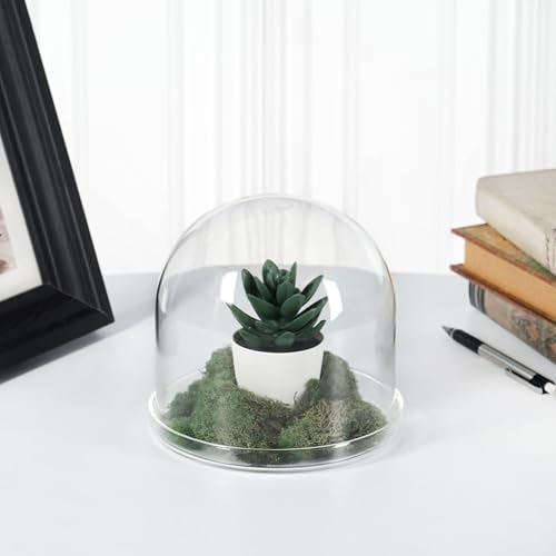 Plymor 5.5" x 5.5" Glass Display Dome Cloche (Clear Glass Tray Base) - size: 5.5" x 5.5"